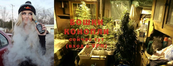 прущие грибы Бронницы