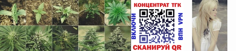 Дистиллят ТГК Wax  MEGA ССЫЛКА  Дагестанские Огни 